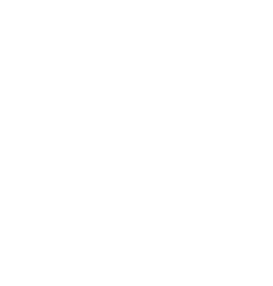 Into Wellness