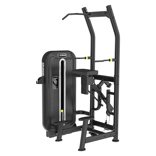 SOL-008 Assisted Chin / Dip — product image 1